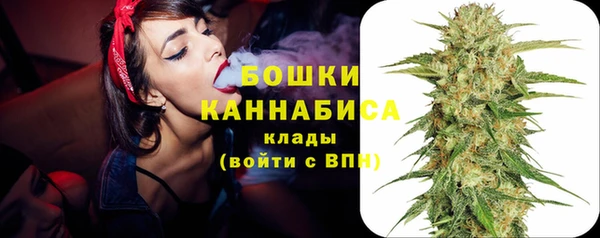 мдпв Вязьма